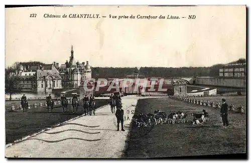 Ansichtskarte AK Chasse a courre Chateau de Chantilly Vue prise du Carrefour des lions Chien Chiens