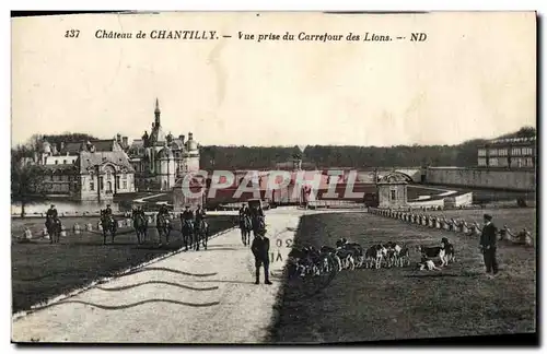 Cartes postales Chasse a courre Chateau de Chantilly Vue prise du Carrefour des lions Chien Chiens