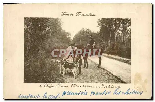 Cartes postales Chasse a courre Foret de Fontainebleau Chiens d&#39attaque Mise a la voie Chien Chiens