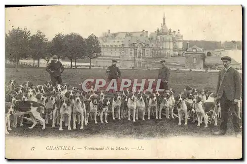 Ansichtskarte AK Chasse a courre Chantilly Promenade de la meute Chien Chiens