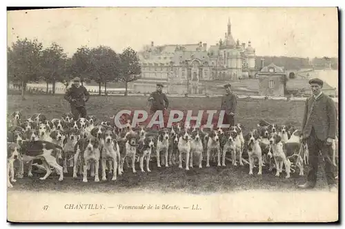 Cartes postales Chasse a courre Chantilly Promenade de la meute Chien Chiens