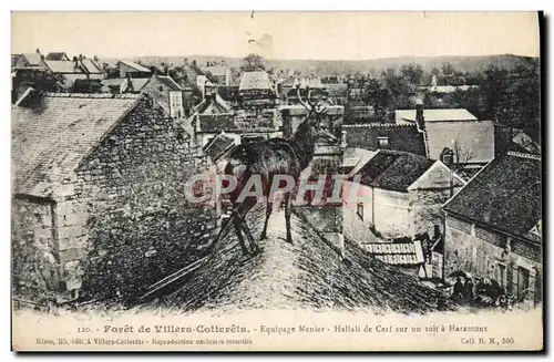 Cartes postales Chasse a courre Foret de Villers Cotterets Equipage Menier Hallali de cerf sur un toit a Haramon
