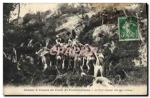 Cartes postales Chasse a courre en Foret de Fontainebleau Le cerf faisant tete aux chiens Chien