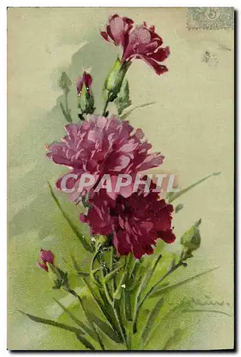 Cartes postales Fantaisie Illustrateur Fleurs