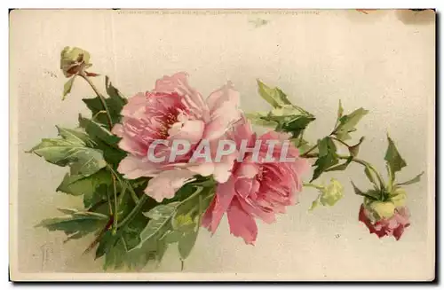 Cartes postales Fantaisie Illustrateur Fleurs