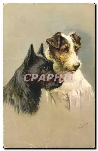 Cartes postales Chiens Chien