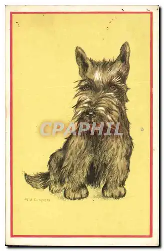 Cartes postales Chiens Chien