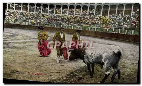 Ansichtskarte AK Corrida Course de taureaux Estocada