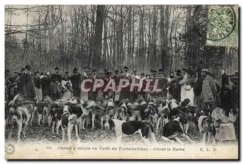 Cartes postales Chasse a courre en Foret de Fontainebleau Avant la curee Chiens Chien TOP