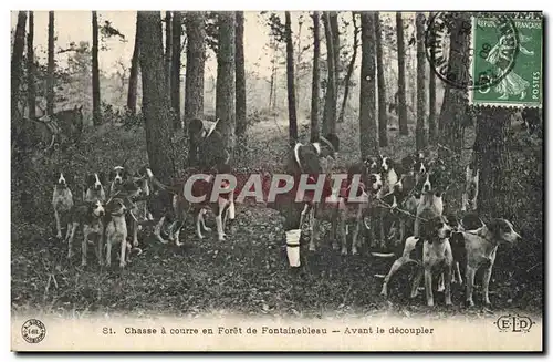 Ansichtskarte AK Chasse a courre en Foret de Fontainebleau Avant le decoupler Chiens Chien