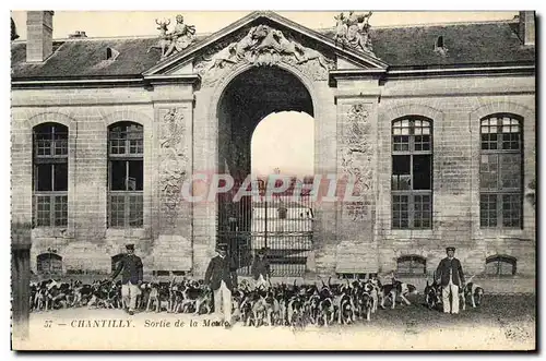 Cartes postales Chasse a courre Chantilly Sortie de la meute Chiens Chien