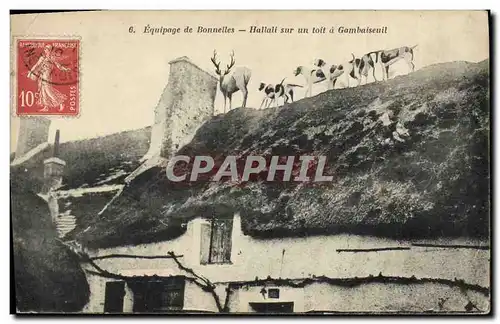 Cartes postales Chasse a courre Equipage de Bonnelles Hallali sur un toit a Gambaiseuil Chiens Chien