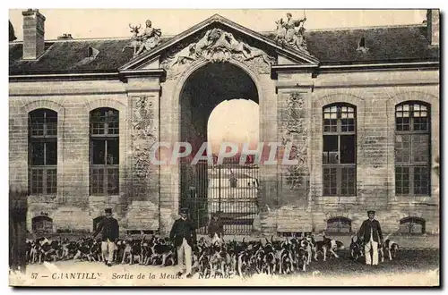 Cartes postales Chasse a courre Chantilly Sortie de la meute Chiens Chien