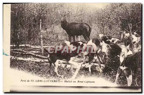 Cartes postales Chasse a courre Foret de Villers Cotterets Hallali au rond capitaine Chiens Chien