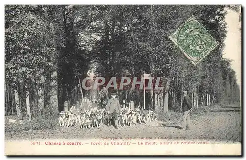 Cartes postales Chasse a courre Foret de Chantilly La meute allant au rendez vous Chiens Chien