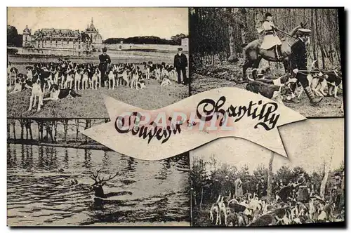 Cartes postales Chasse a courre Chantilly Chiens Chien