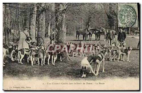 Cartes postales Chasse a courre dans la foret de Dreux La meute Chiens Chien