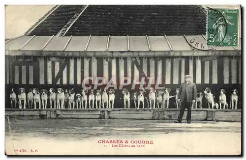 Cartes postales Chasse a courre Les chiens au banc