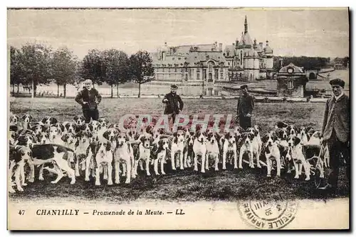 Cartes postales Chasse a courre Chantilly Promenade de la meute Chiens Chien