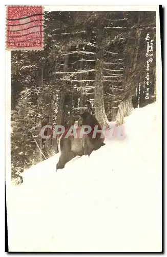 Cartes postales Chasse a courre Olympic Mountains