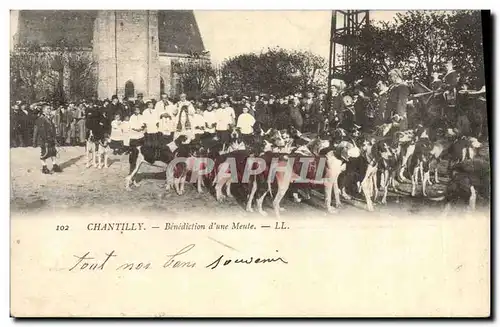 Cartes postales Chasse a courre Chantilly Benediction d&#39une meute Chiens Chien