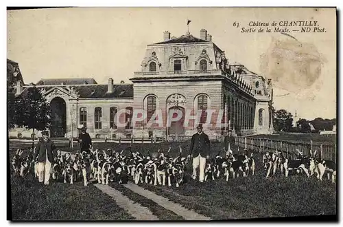 Cartes postales Chasse a courre Chateau de Chantilly Sortie de la meute Chiens Chien