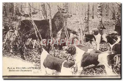 Cartes postales Chasse a courre Foret de Villers Cotterets Hallali aux Dayancourts Cerf