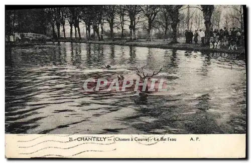 Ansichtskarte AK Chasse a courre Chantilly Le bat l&#39eau Chiens Chien