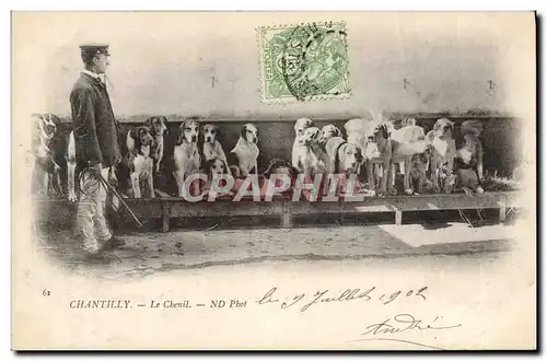 Cartes postales Chasse a courre Chantilly Le chenil Chiens Chien