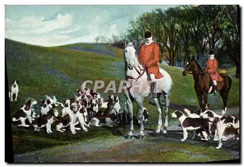 Cartes postales Chasse a courre Chiens Chien
