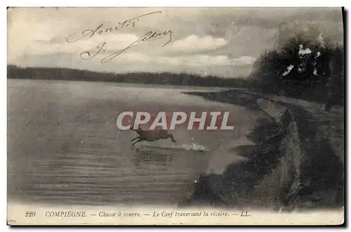 Cartes postales Chasse a courre Compiegne Le cerf traversant la riviere