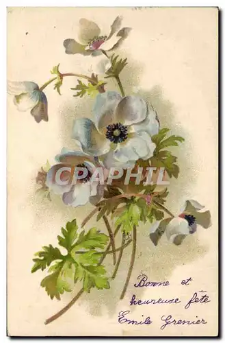 Cartes postales Fantaisie Fleurs