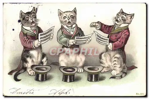 Ansichtskarte AK Chats chat Chaton