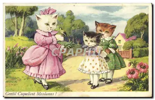 Cartes postales Chats Chat Chaton Gentil coquelicot Mesdames