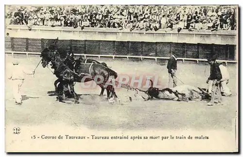 Cartes postales Corrida Course de taureaux Taureau entraine apres sa mort par le train de mulets