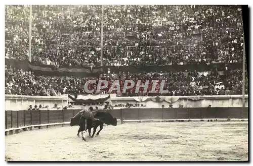 CARTE PHOTO Corrida Course de taureaux Nimes