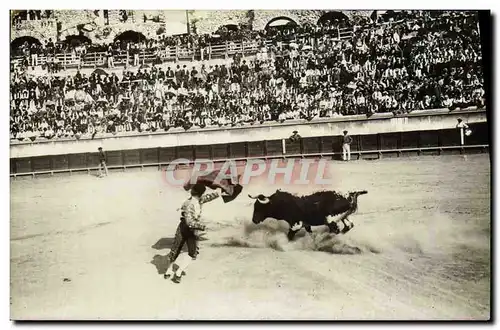 CARTE PHOTO Corrida Course de taureaux Nimes