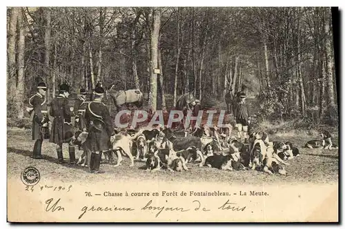 Cartes postales Chasse a courre en Foret de Fontainebleau La meute Chiens Chien