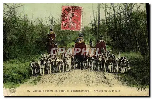 Cartes postales Chasse a courre en Foret de Fontainebleau Arrivee de la meute Chiens Chien