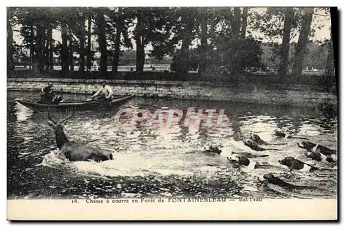 Cartes postales Chasse a courre en Foret de Fontainebleau Bat l&#39eau Chiens Chien