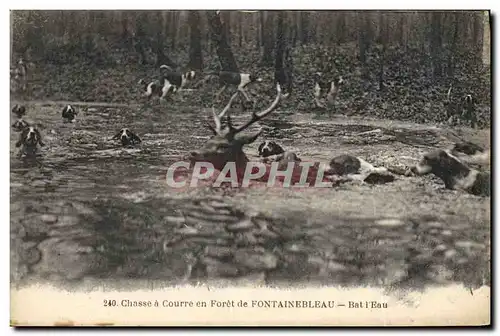 Ansichtskarte AK Chasse a courre en Foret de Fontainebleau Bat l&#39eau Chiens Chien Cerf