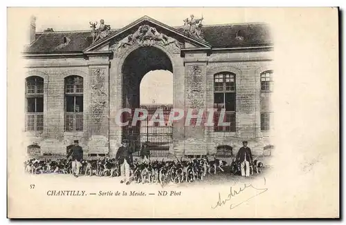 Cartes postales Chasse a courre Chantilly Sortie de la meute Chiens Chien