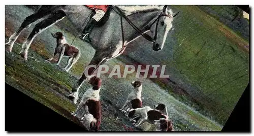 Cartes postales Chasse a courre Cavalier Cheval Chiens Chien