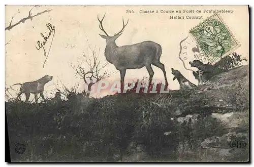 Ansichtskarte AK Chasse a courre en Foret de Fontainebleau Hallali courant Chiens Chien