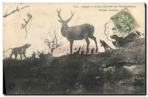 Cartes postales Chasse a courre en Foret de Fontainebleau Hallali courant Chiens Chien
