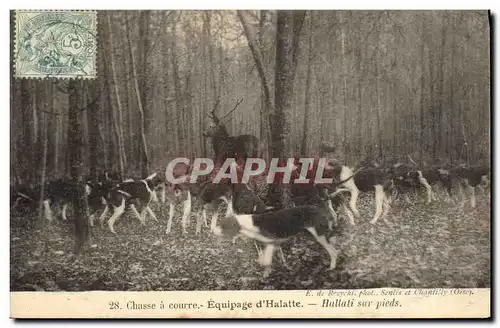 Ansichtskarte AK Chasse a courre Equipage d&#39Halatte Hallali sur pieds Chiens Chien