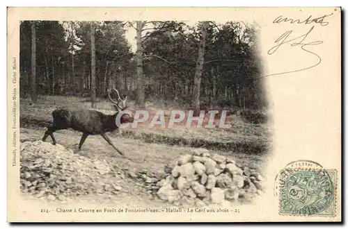 Ansichtskarte AK Chasse a courre en Foret de Fontainebleau Le cerf aux abois