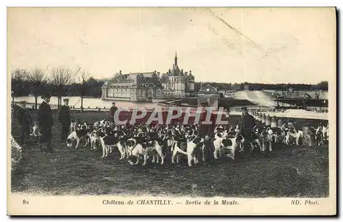 Cartes postales Chasse a courre Chateau de Chantilly Sortie de la meute Chiens Chien