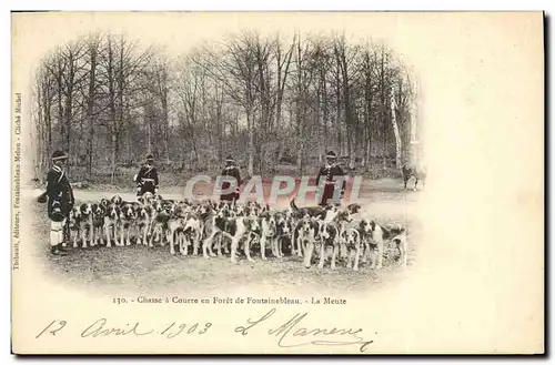 Cartes postales Chasse a courre en Foret de Fontainebleau La meute Chiens Chien