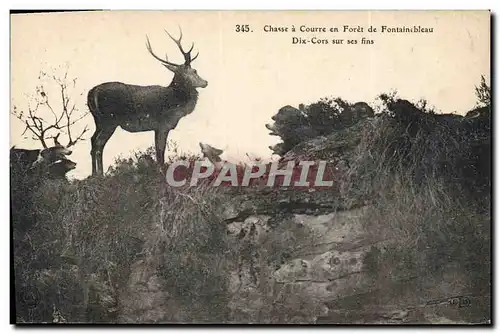 Ansichtskarte AK Chasse a courre en Foret de fontainebleau Dix Cors sur ses fins Chiens Chien